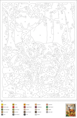 Coloriage magique d'un cerf dressé dans une forêt d'automne, avec des feuilles mortes, des fougères et des champignons, chaque zone numérotée à colorier selon la légende.