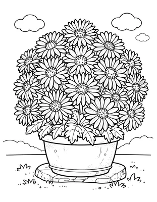 Coloriage d'un grand pot de chrysanthèmes aux pétales ronds posé sur une marche en pierre, avec des nuages et de l'herbe autour.