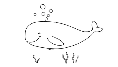 Dessin au trait d'une baleine amicale soufflant des bulles, avec des algues, pour le color panel.