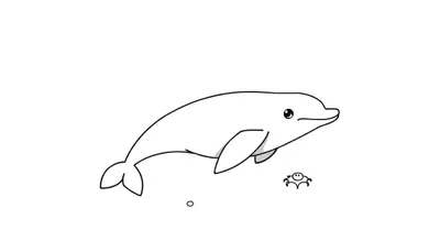 Dessin au trait d'un dauphin regardant à droite, avec une petite créature marine à côté et un cercle en dessous, parfait pour un color panel.