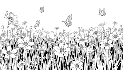 Un champ de fleurs sauvages en noir et blanc avec des papillons, prêt à être coloré comme un color panel.