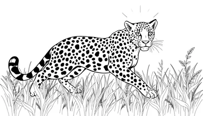 Un léopard dessin au trait en noir et blanc marchant dans de l'herbe haute, avec un panneau coloré visible à proximité.