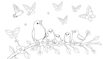 Dessin au trait d'une famille d'oiseaux sur une branche fleurie avec des papillons, parfait pour un color panel.