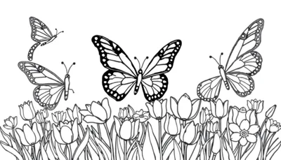 Page de coloriage avec des papillons et des fleurs sur un color panel.