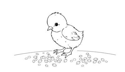 Un poussin jaune mignon sur un color panel avec des graines.