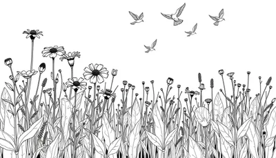 Un dessin au trait noir et blanc d'une prairie fleurie avec des oiseaux volant au-dessus.