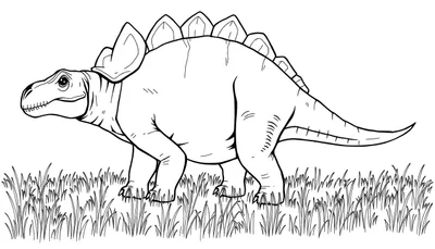 Un stégosaure en noir et blanc, parfait pour un color panel, se tient dans un champ d'herbe.