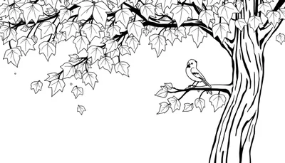 Arbre et oiseau dessinés au trait pour un color panel.