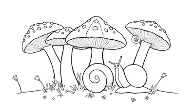 Dessin noir et blanc d'une scène avec trois champignons de style amanite tue-mouches et deux escargots, sur un sol parsemé d'herbe et de fleurs. C'est une page de coloriage pour enfants.