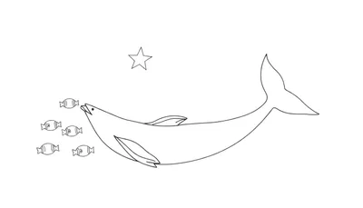 Un dauphin stylisé noir et blanc chasse quatre petits poissons sous une étoile flottante, dans un style color panel épuré.