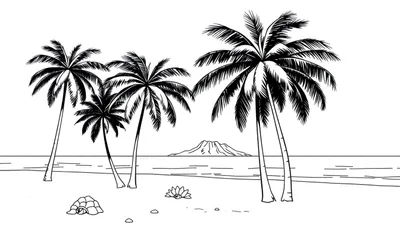 Paysage tropical en noir et blanc avec des palmiers, une montagne et une tortue, comme pour un color panel.