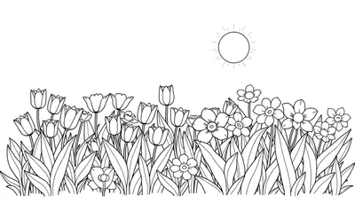 Dessin au trait d'un champ de fleurs ensoleillé, parfait pour un color panel.
