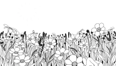 Un dessin au trait d'un champ de fleurs avec un soleil.