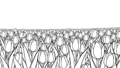 Dessin au trait noir et blanc d'un champ de tulipes stylisées, parfait pour un color panel.