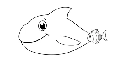 Color panel d'une orque joyeuse avec un petit poisson.