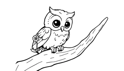 Une jolie coloriage de hibou tenant une fleur sur une branche.