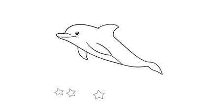 Un dessin au trait noir et blanc d'un dauphin souriant nageant au-dessus de trois étoiles.