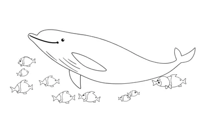 Dessin au trait d'un dauphin joyeux entouré de petits poissons, parfait pour un color panel.