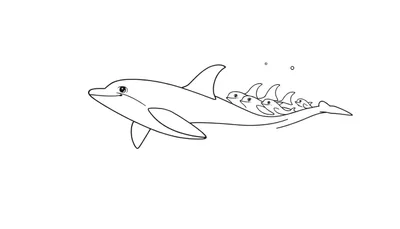 Un dessin au trait d'un dauphin adulte nageant avec quatre petits dauphins sur son dos, avec des bulles.