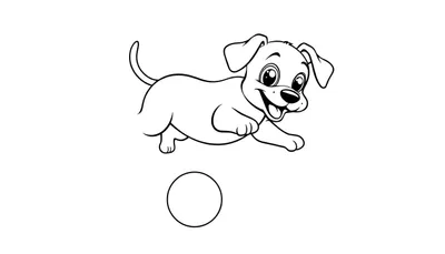 Un chien joyeux sautant après une balle.