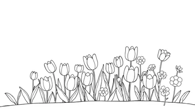 Un dessin au trait minimaliste d'un champ de tulipes colorées avec des fleurs aux pétales ronds sur le côté, un véritable color panel printanier.
