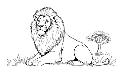 Un lion dans la savane, prêt à être coloré.