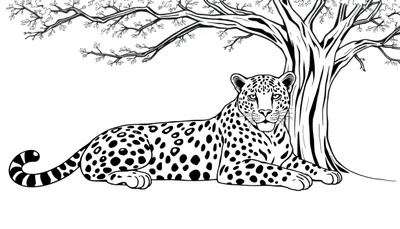 Un dessin au trait noir et blanc d'un léopard couché à l'ombre d'un arbre, avec des taches noires distinctes et une queue enroulée.