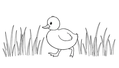 Dessin au trait d'un caneton mignon dans l'herbe, avec un color panel.