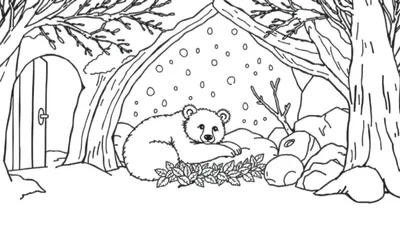 Ours endormi dans sa tanière d'hiver, vue d'une page à colorier.