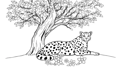 Un léopard dessiné au trait se repose sous un grand arbre feuillu, entouré de fleurs. Un panneau coloré est présent dans la scène.