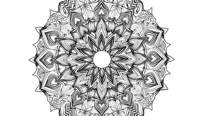 Mandala complexe avec des motifs floraux et géométriques sur fond blanc, parfait pour un color panel.