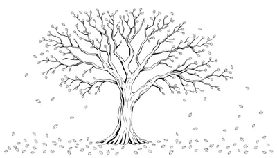 Arbre d'automne en noir et blanc avec des feuilles tombées, idéal pour un color panel.