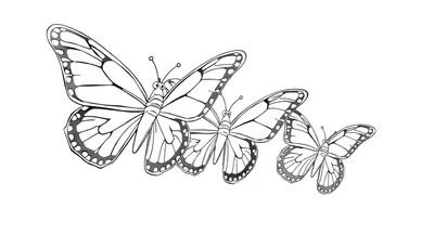 Dessin au trait noir et blanc de trois papillons en formation, style livre de coloriage, avec des motifs sur les ailes.