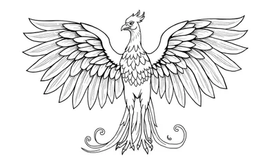 Dessin au trait d'un phénix avec les ailes déployées, prêt à être colorisé.