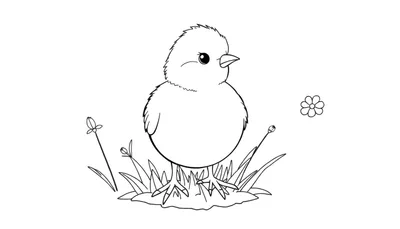 Un poussin mignon dans un color panel d'herbe avec une fleur.