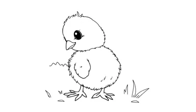 Un dessin au trait mignon d'un poussin dans l'herbe avec un color panel.