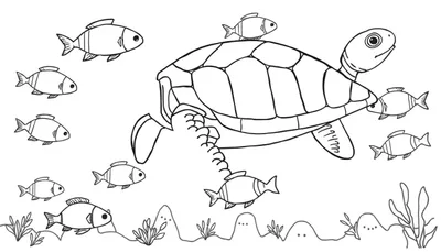Dessin au trait d'une tortue marine nageant avec des poissons dans un fond marin, parfait pour un color panel.