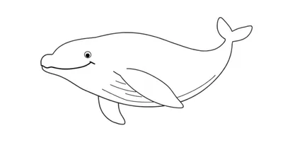 Dessin au trait d'un dauphin joyeux prêt à être colorié.