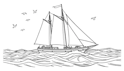 Un grand voilier noir et blanc naviguant sur la mer avec des mouettes dans le ciel, prêt pour le color panel.
