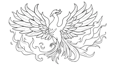 Dessin au trait d'un phénix majestueux avec des ailes déployées, entouré de flammes.
