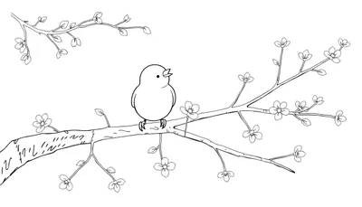 Un oiseau dessiné au trait chante sur une branche d'arbre en fleur, dans un style minimaliste.
