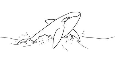 Un dessin au trait noir et blanc d'une orque sautant hors de l'eau, prêt pour un color panel.
