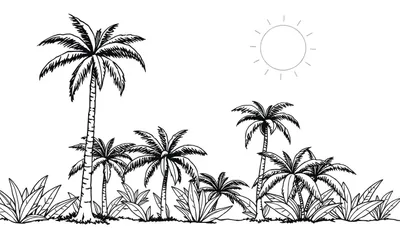 Dessin au trait de palmiers sous un soleil éclatant, page de coloriage en noir et blanc.