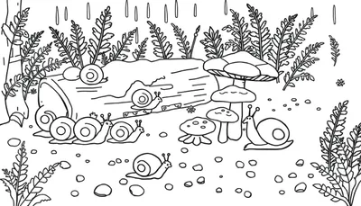 Dessin pour coloriage d'une scène de nature avec des escargots rampant sur un tronc d'arbre, des champignons, des fougères et des gouttes de pluie.