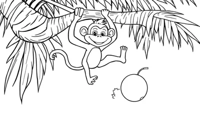 Dessin au trait d'un singe joyeux accroché à une branche avec des feuilles de palmier et une noix de coco, prêt à être colorié.