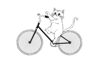 Dessin à colorier d'un chat blanc faisant du vélo et saluant.