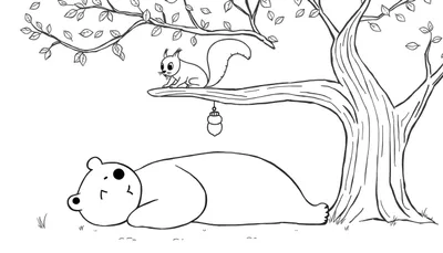 Dessin au trait noir et blanc pour coloriage: un grand arbre avec un ours endormi à son pied et un écureuil sur une branche.