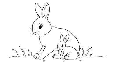 Dessin au trait noir et blanc d'une lapine et de son petit assis dans l'herbe, prêt à être colorié.
