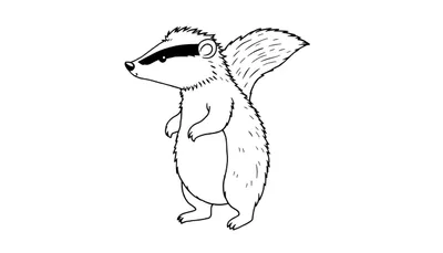 Dessin au trait d'une mouffette de dessin animé se tenant debout, profil gauche, fond blanc