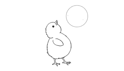 Dessin au trait d'un petit poussin mignon regardant un grand cercle vide pour coloriage.